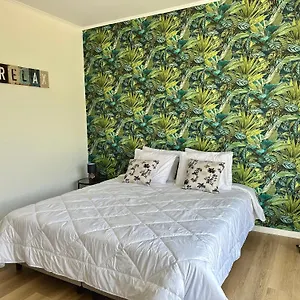 Apartment Oasis -, Funchal (Madeira)